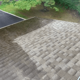 roof-cleaning-2